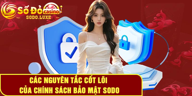Các nguyên tắc cốt lõi của chính sách bảo mật Sodo